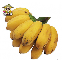 海南现摘芭蕉新鲜8斤水果当季包邮自然熟非广西小米蕉苹果蕉香蕉