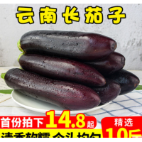 云南新鲜长茄子10斤装紫茄子当季农家自种长线大茄子黑嫩现摘包邮